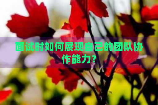 面試展現(xiàn)團(tuán)隊(duì)協(xié)作的實(shí)例選擇，如何選擇最佳實(shí)例在面試中展現(xiàn)團(tuán)隊(duì)協(xié)作能力 行業(yè)新聞 第3張