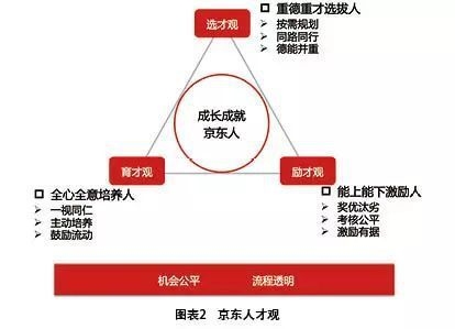 如何制定個性化人才培養(yǎng)方案？高效制定個性化人才培養(yǎng)方案的實用指南 行業(yè)新聞 第2張