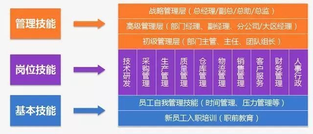 如何制定個性化人才培養(yǎng)方案？高效制定個性化人才培養(yǎng)方案的實用指南 行業(yè)新聞 第3張