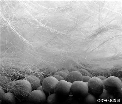 碳纖維材料在極寒環(huán)境中的性能，碳纖維材料在極寒環(huán)境中的性能表現(xiàn)研究 行業(yè)新聞 第5張