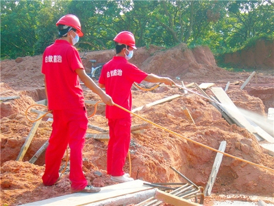 建筑加固后白蟻防治案例，建筑加固工程中的白蟻防治成功案例分析 行業(yè)新聞 第6張