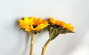設(shè)計(jì)合同違約責(zé)任解析，設(shè)計(jì)合同違約責(zé)任解析 行業(yè)新聞 第3張