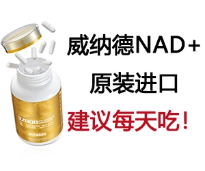 包鋼無縫鋼管產(chǎn)品高端化案例，包鋼無縫鋼管，邁向高端化的卓越征程，包鋼無縫鋼管產(chǎn)品高端化，破局與蝶變之路，包鋼無縫鋼管的高端化進階傳奇，探秘包鋼無縫鋼管產(chǎn)品高端化的成功密碼 行業(yè)新聞 第6張
