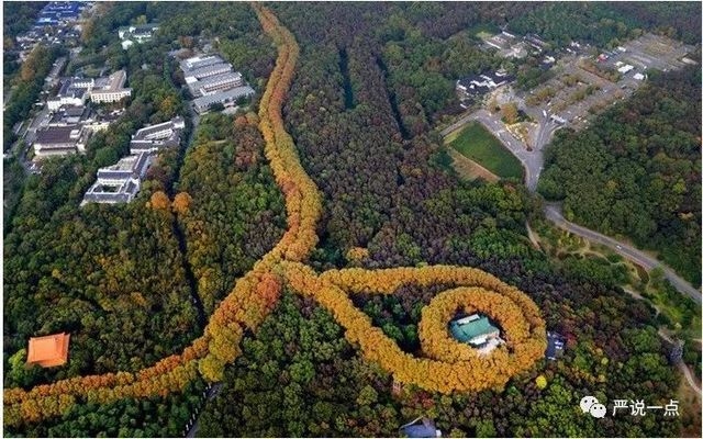 仿古材料在建筑加固中的應用，仿古材料，建筑加固領域的創(chuàng)新應用 行業(yè)新聞 第6張