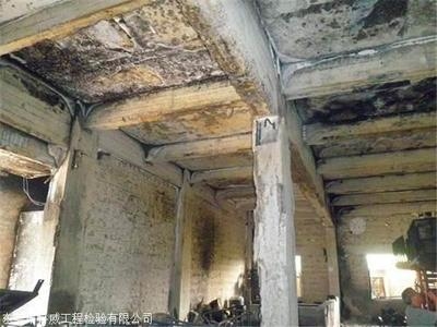 加固公司服務(wù)質(zhì)量評(píng)價(jià)，加固公司服務(wù)質(zhì)量，多維度評(píng)價(jià)與剖析 行業(yè)新聞 第4張