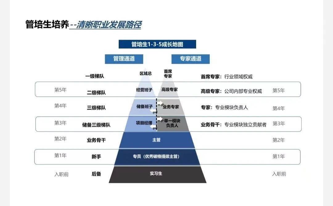 加固公司職業(yè)發(fā)展路徑，加固公司職業(yè)發(fā)展路徑全解析，從新手到專家的進階 行業(yè)新聞 第4張