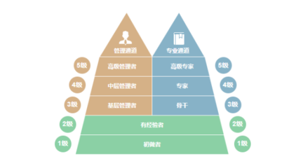 加固公司職業(yè)發(fā)展路徑，加固公司職業(yè)發(fā)展路徑全解析，從新手到專家的進階 行業(yè)新聞 第5張