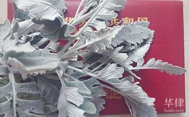 改商業(yè)用地一年 行業(yè)新聞 第3張 改商業(yè)用地一年 行業(yè)新聞 第3張