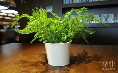 建筑設(shè)計(jì)圖紙版權(quán)查詢常見問題 行業(yè)新聞 第3張 建筑設(shè)計(jì)圖紙版權(quán)查詢常見問題 行業(yè)新聞 第3張
